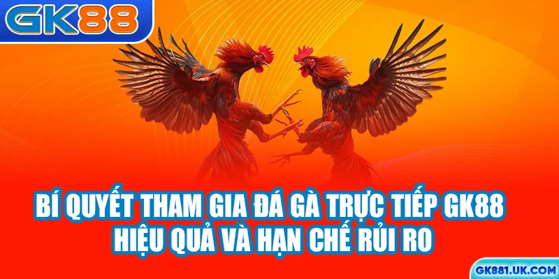 Bí quyết tham gia đá gà trực tiếp GK88 hiệu quả và hạn chế rủi ro