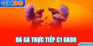 Đá gà trực tiếp C1 GK88