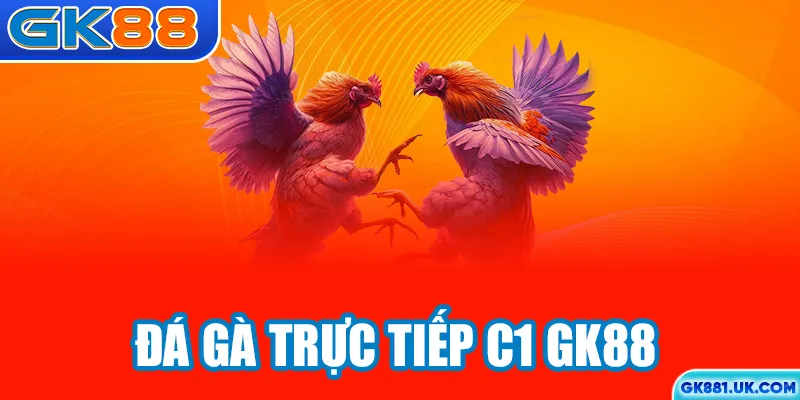 Đá gà trực tiếp C1 GK88
