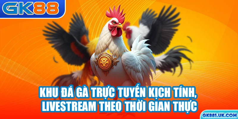 Khu đá gà trực tuyến kịch tính, livestream theo thời gian thực